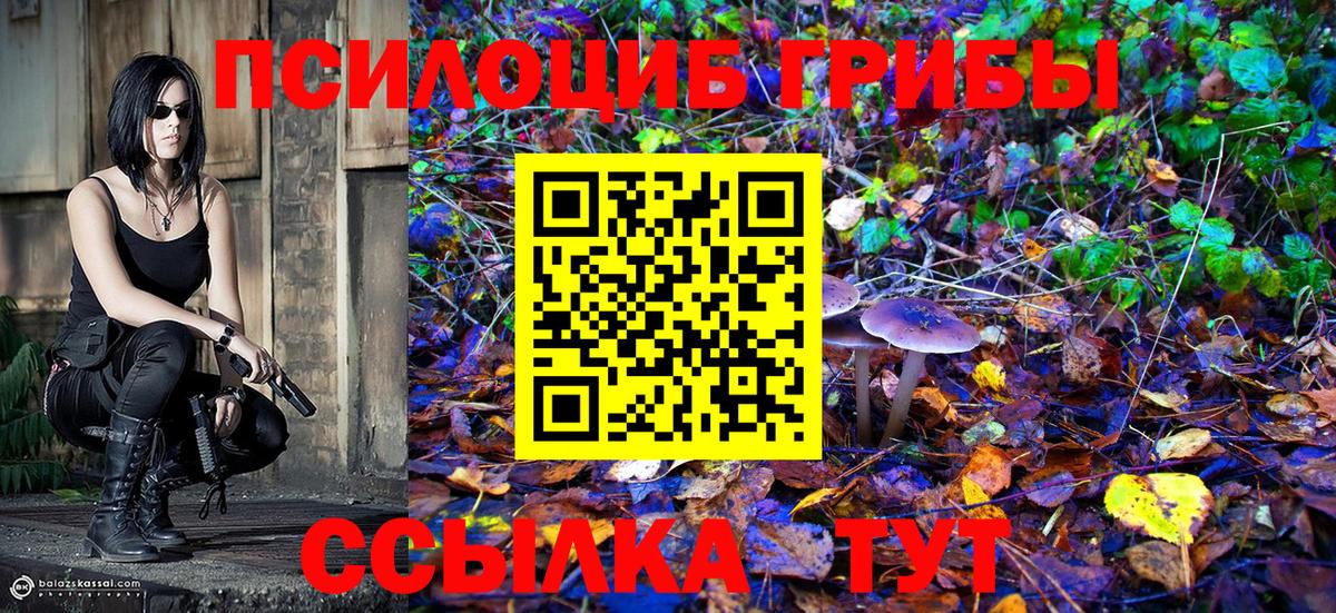 Галлюциногенные грибы Cubensis  Вход с VPN  Галлюциногенные грибы мухоморы  Сургут 